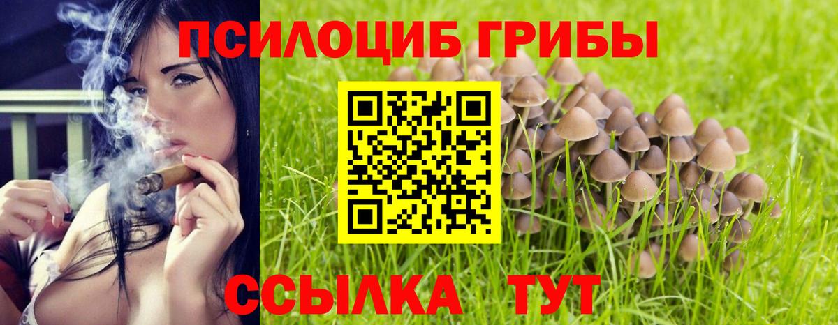 Галлюциногенные грибы Magic Shrooms Лабинск